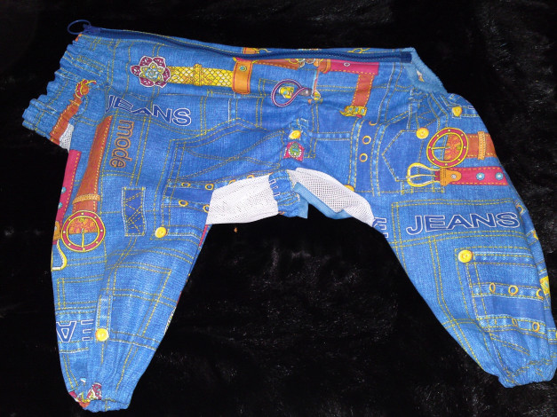 Обои картинки фото разное, одежда, обувь, текстиль, экипировка, для, собак