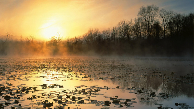 Обои картинки фото природа, восходы, закаты, деревья, вода, облака