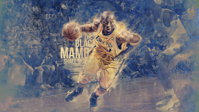 Обои картинки фото спорт, баскетбол