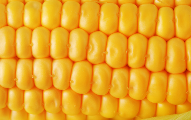 Обои картинки фото еда, кукуруза