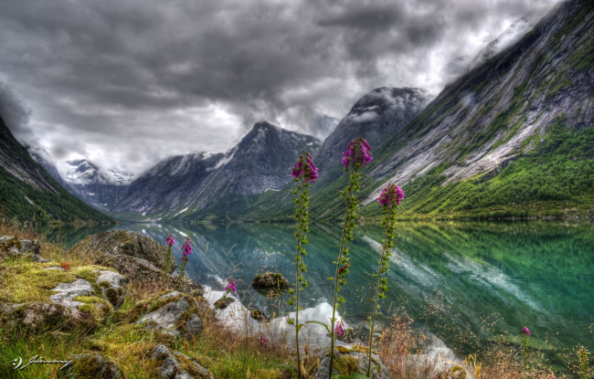 Обои картинки фото lake, j&, 248, lster, norway, природа, реки, озера, цветы, горы, норвегия, озеро, пейзаж