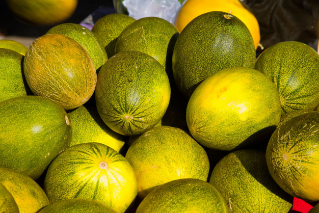 Обои картинки фото еда, дыня, тыквы