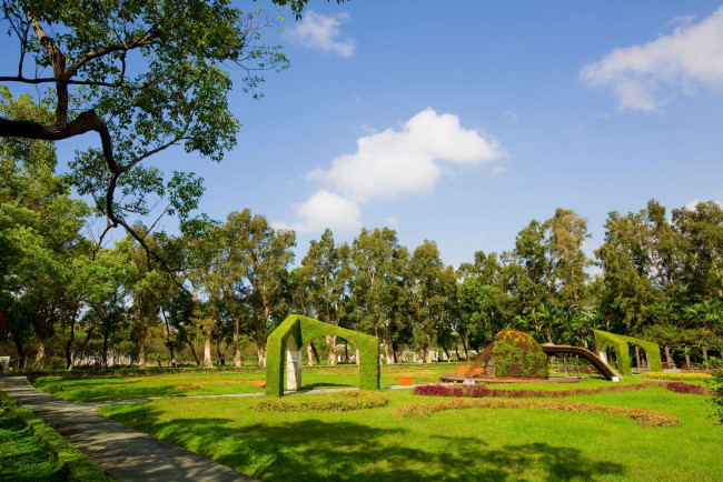 Обои картинки фото природа, парк, деревья, трава