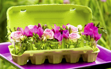 Картинка цветы букеты +композиции фрезия roses розы