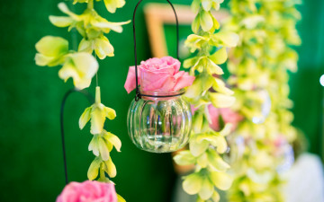 Картинка цветы разные+вместе баночка бутон роза