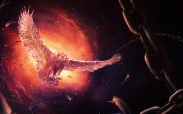 Картинка разное компьютерный+дизайн сова ретушь фантастика цепи птица