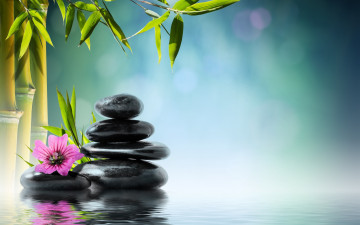 Картинка разное ракушки +кораллы +декоративные+и+spa-камни stones reflection zen water orchid flower spa bamboo вода камни бамбук цветок