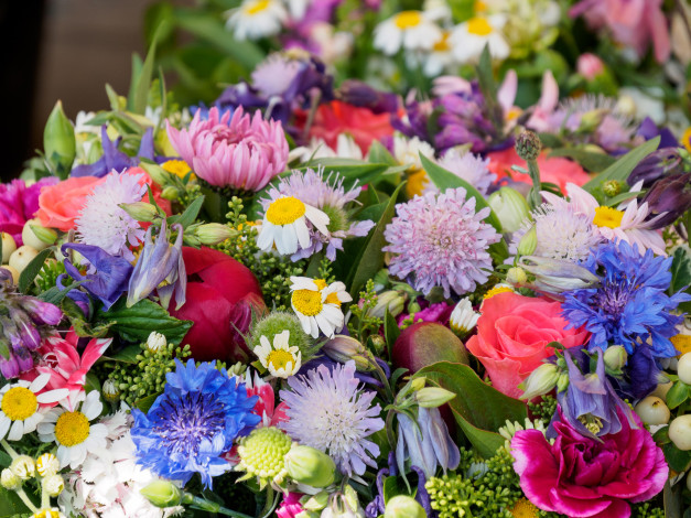 Обои картинки фото цветы, букеты,  композиции, макро, разноцветные, букет
