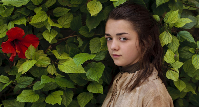 Обои картинки фото maisie williams, девушки, цветок, гибискус, листья, взгляд, актриса