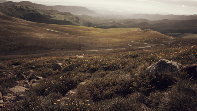 Обои картинки фото природа, луга, луг