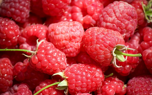 Обои картинки фото еда, малина, лето, ягоды