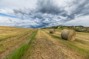 Картинка природа поля простор