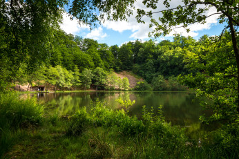 Картинка природа реки озера лес река