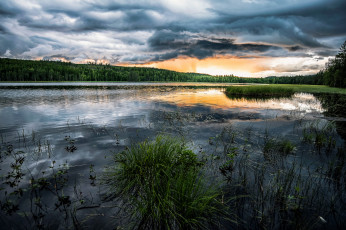 Картинка природа реки озера река лес