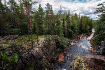 Картинка природа реки озера река лес