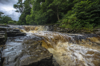 Картинка природа реки озера река лес