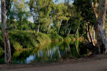 Картинка природа реки озера река лес