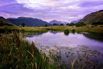 Картинка природа реки озера река лес