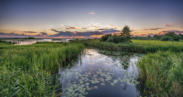 Картинка природа реки озера река лес