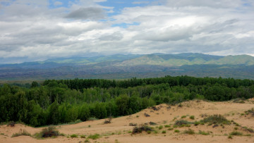 Картинка природа пейзажи холмы лес