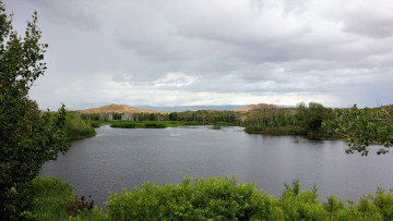 Картинка природа реки озера холм лес озеро