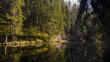 Картинка природа реки озера лес река