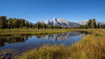 Картинка природа реки озера река лес