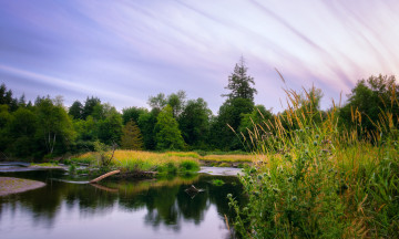 Картинка природа реки озера лес река