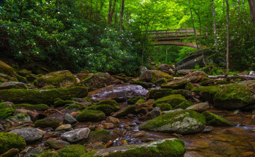 Картинка природа реки озера река лес