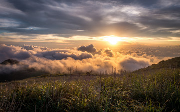 Картинка природа восходы закаты рассвет