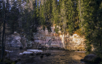 Картинка природа реки озера лес река