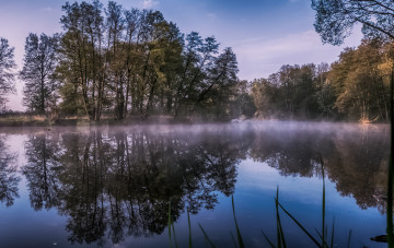 Картинка природа реки озера лес река