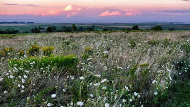 Обои картинки фото природа, луга, простор