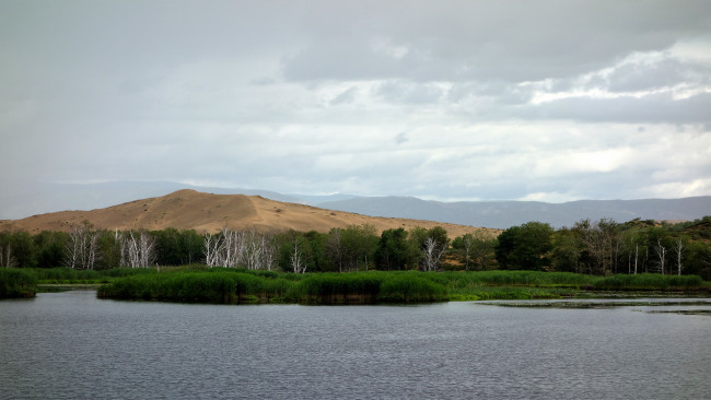 Обои картинки фото природа, реки, озера, холм, лес, озеро