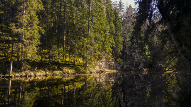 Обои картинки фото природа, реки, озера, лес, река