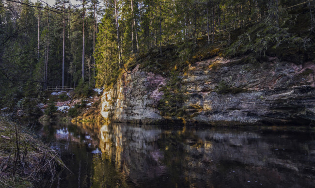 Обои картинки фото природа, реки, озера, река, лес