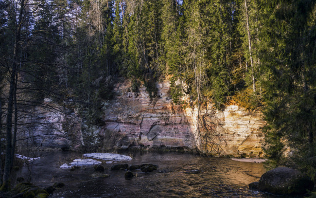 Обои картинки фото природа, реки, озера, лес, река