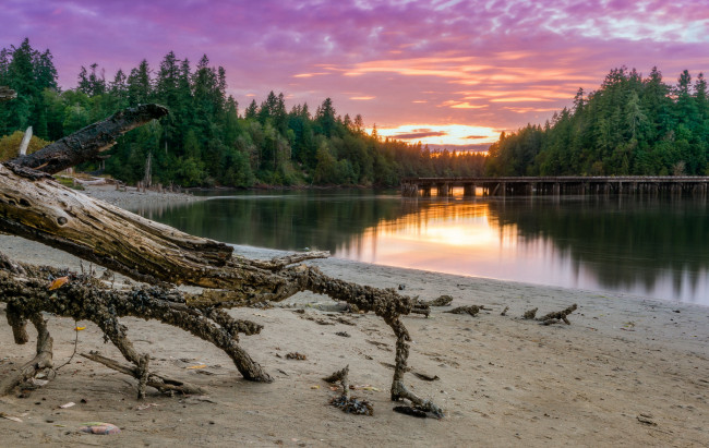 Обои картинки фото природа, реки, озера, лес, река