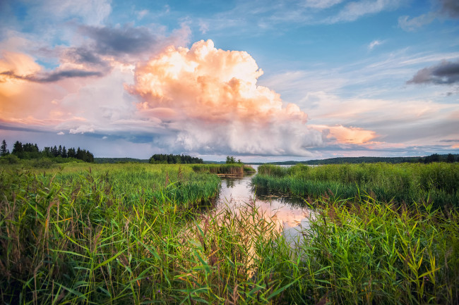 Обои картинки фото природа, реки, озера, река, лес