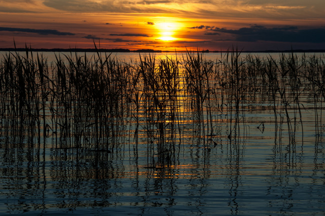 Обои картинки фото природа, восходы, закаты, рассвет