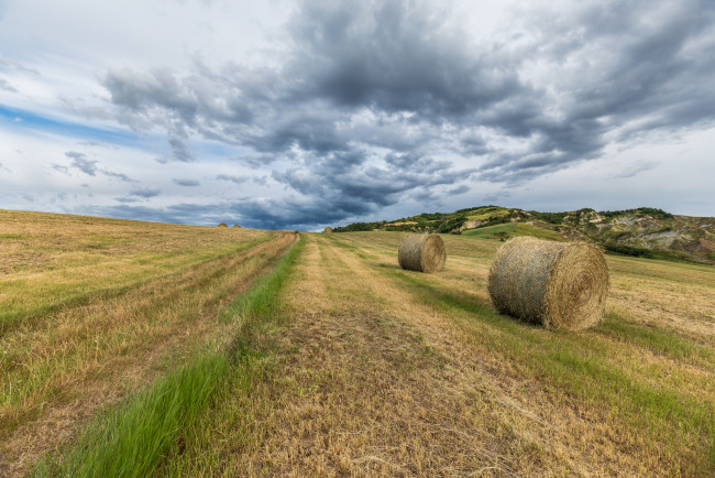 Обои картинки фото природа, поля, простор