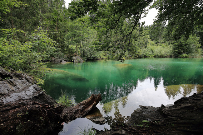 Обои картинки фото природа, реки, озера, лес, река