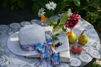 Картинка еда натюрморт книга лето фрукты август уходящий