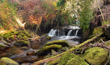 Картинка природа водопады водопад река лес