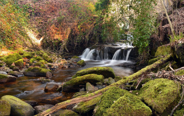 Картинка природа водопады водопад лес река
