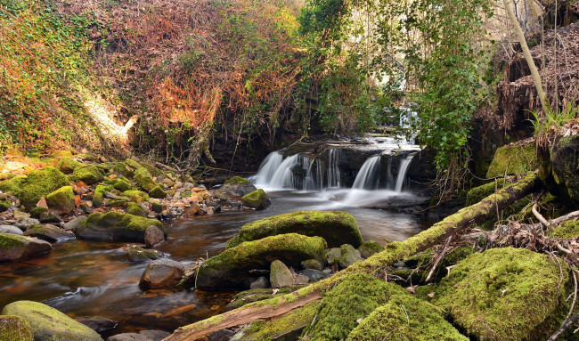 Обои картинки фото природа, водопады, водопад, река, лес