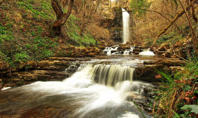 Обои картинки фото природа, водопады, река, водопад, лес