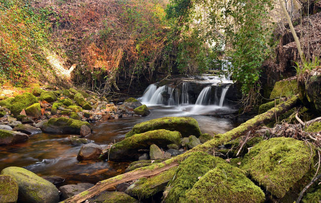 Обои картинки фото природа, водопады, водопад, лес, река