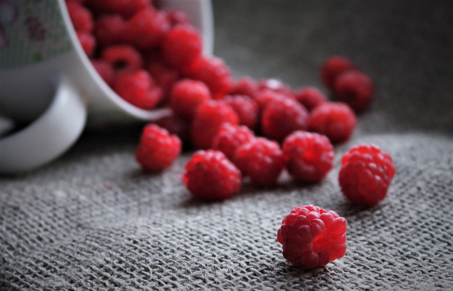 Обои картинки фото еда, малина, дача, натюрморт, ягоды