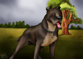 Картинка векторная+графика животные+ animals взгляд собака фон